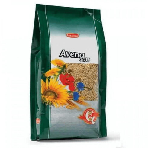 Ovaz decorticat pentru pasari Avena 20Kg